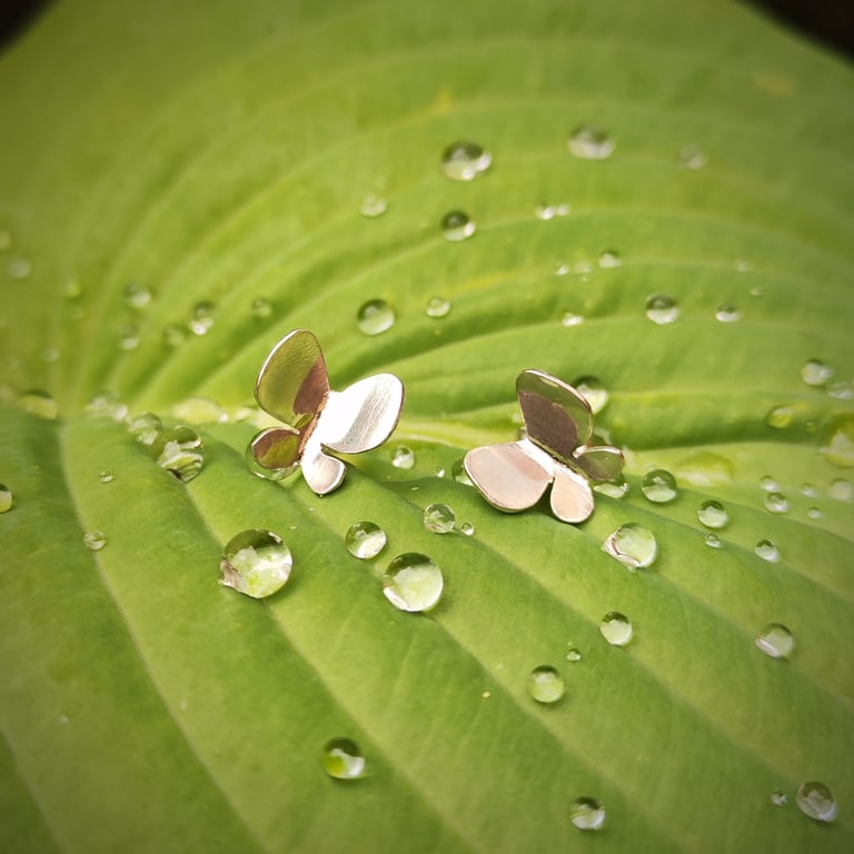 Butterfly silver stud earrings