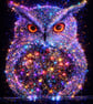 The bright Owl