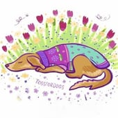 Togs4Dogs