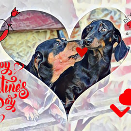 Love Dachshunds Valentine's Card A5  