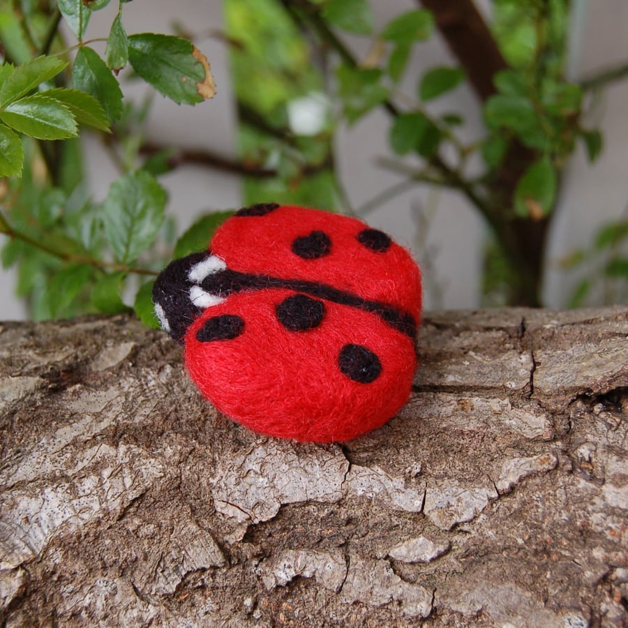Ladybird, Needle felt  brooch -  ladies jewellery wool badge bag charm ladybug
