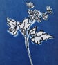 ACEO OOAK original cyanotype Cornish Hedgerow No.3