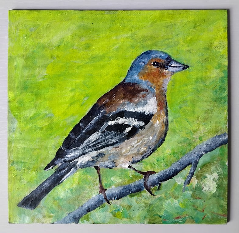 Common chaffinch - painting