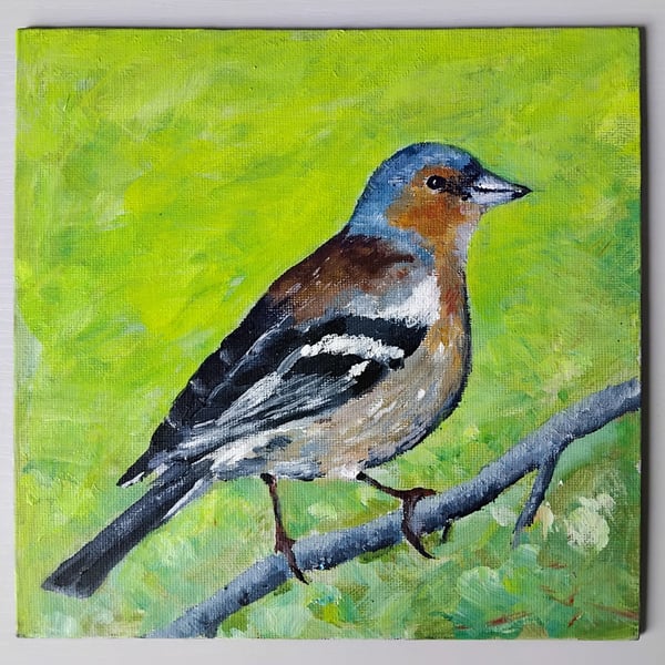 Common chaffinch - painting