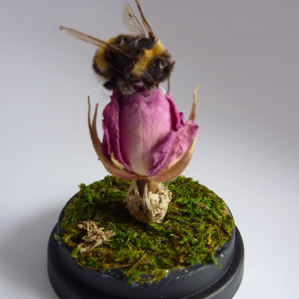 Fuzzy Bee & Rose Miniature Dome