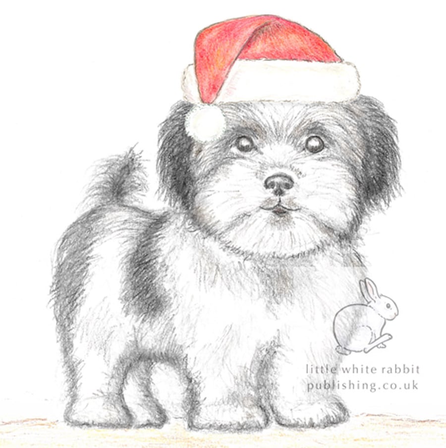 Dylan the Little Dog - Christmas Hat Card