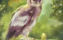 Pastel & Pencil Drawings