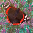 Stunning, original watercolour of a Red Admiral butterfly 