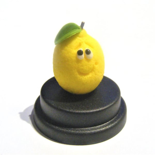 Pet Lemon, Lemon gift, Lemon lover, Funny gift