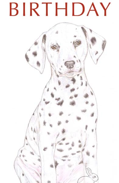 Dot the Dalmatian - Birthday Card