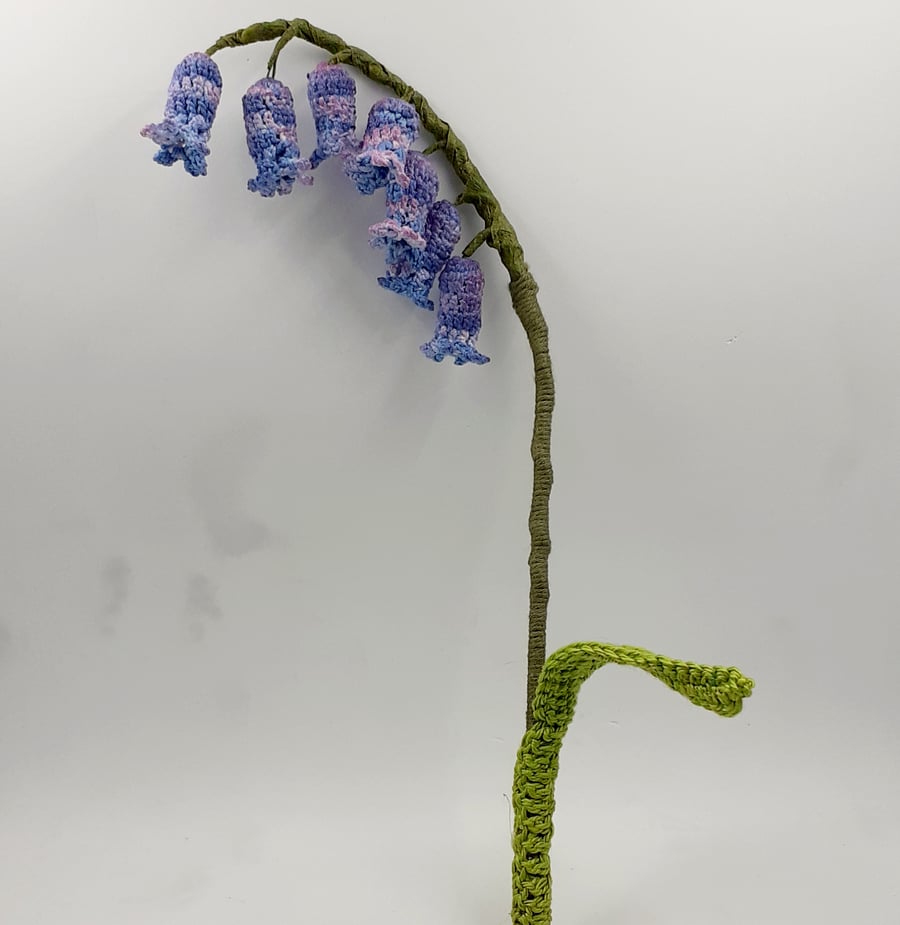 Commission Order for Sue English Bluebell 