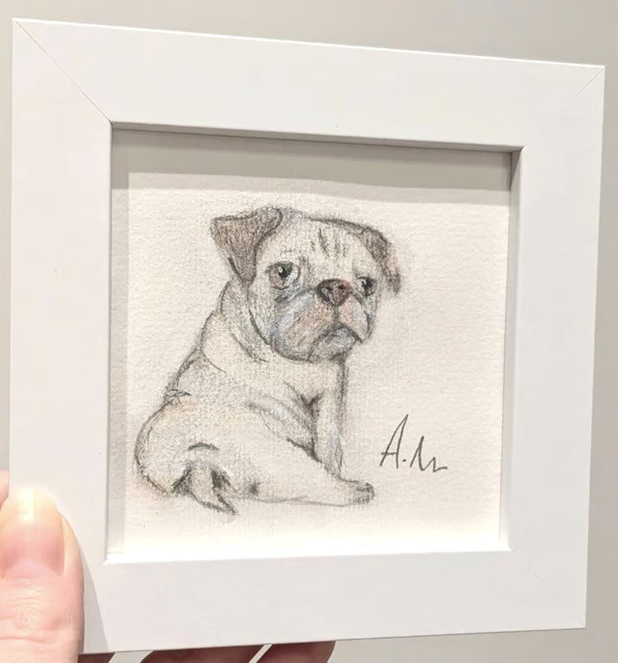 Framed Original Painting of Pug 