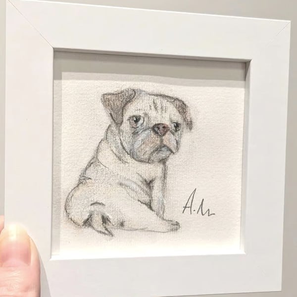 Framed Original Painting of Pug 