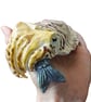 Cuttlefish Ceramic Sculpture - Handmade - Image 3