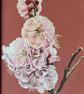 Cherry blossom 