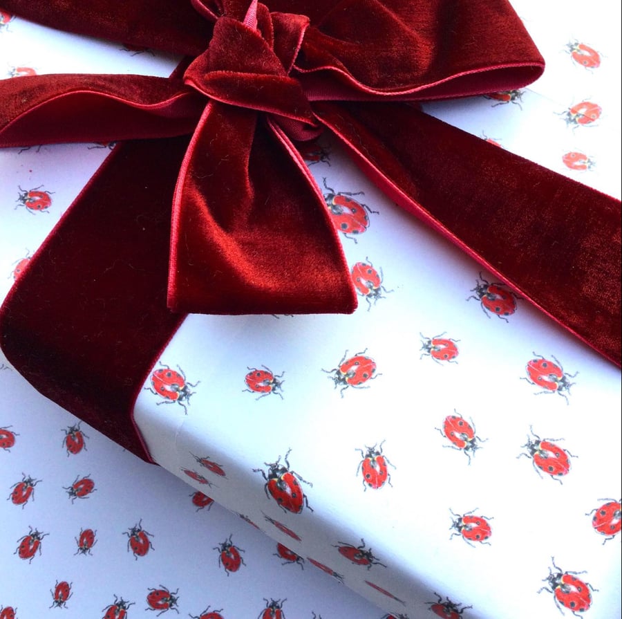 Ladybird Gift Wrap