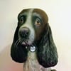 Fully personalised Spaniels