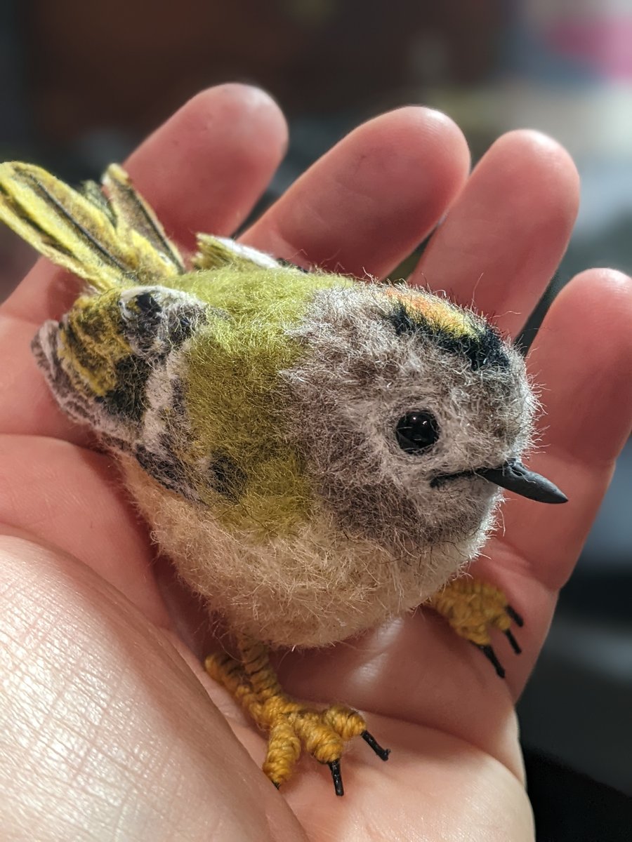 Goldcrest (Regulus Regulus) 