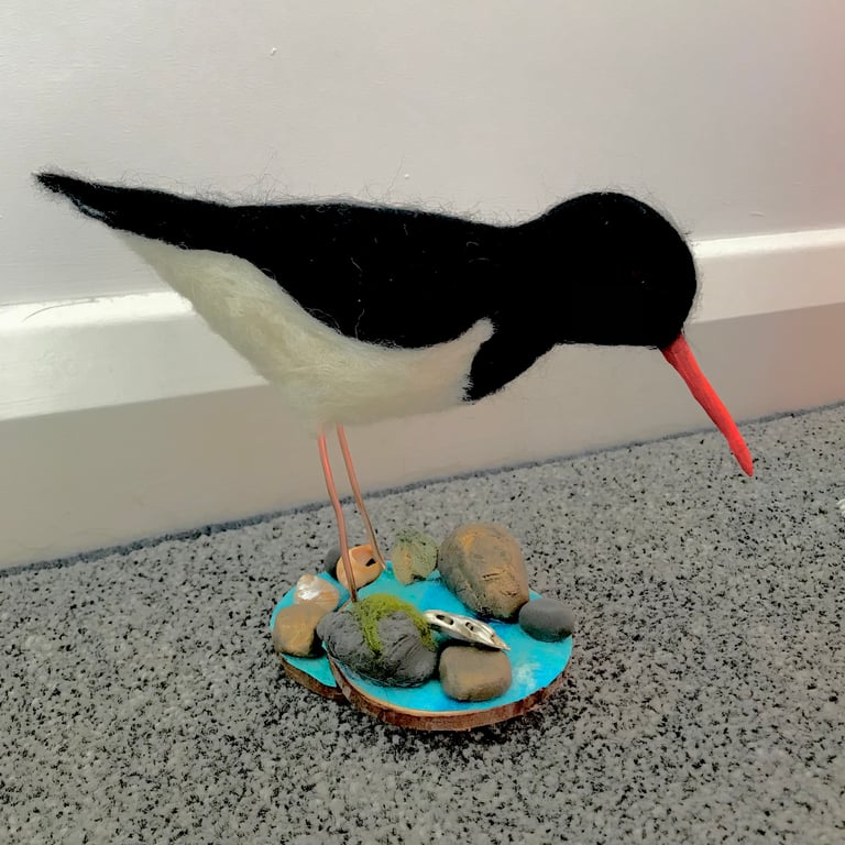 Needle felted oystercatcher home decor ornament 