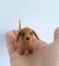 Wee Sausage Dogs - Image 4