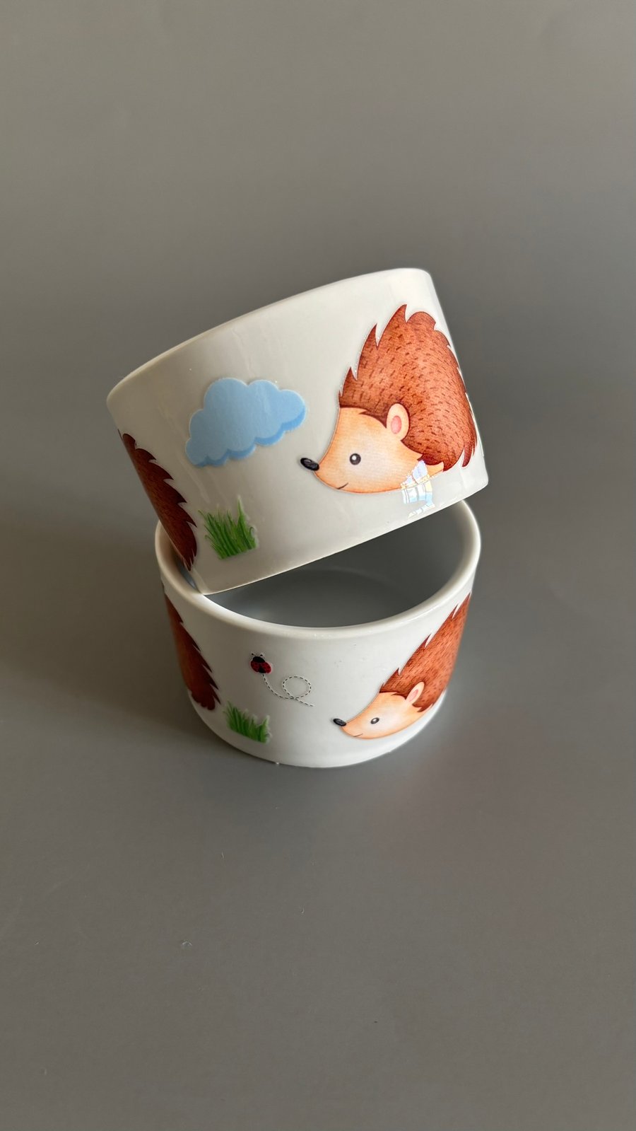 Deep edge ceramic hedgehog food and water bowls. 