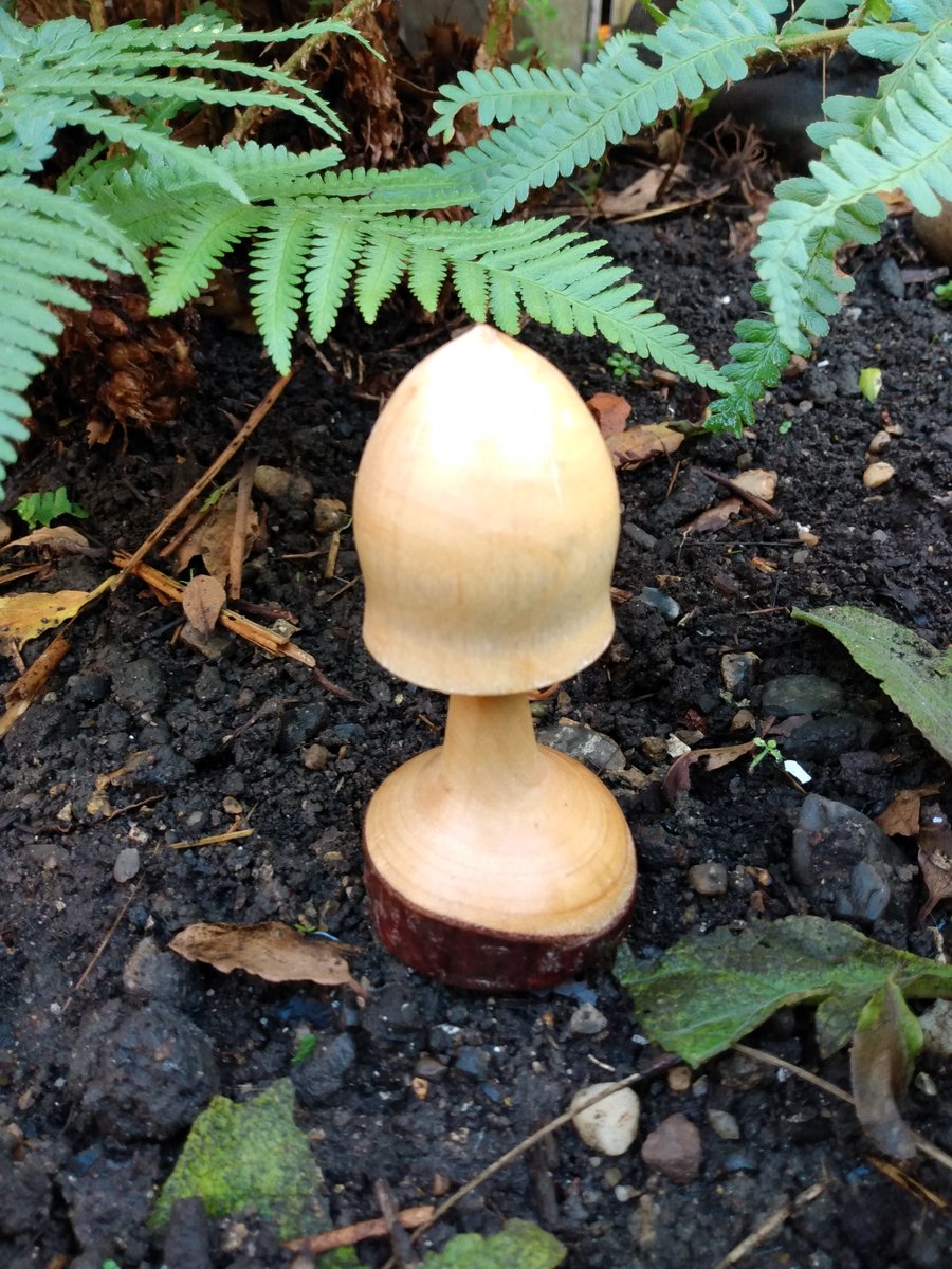Mushroom for you enjoy the feelgood factor of Natural Wood