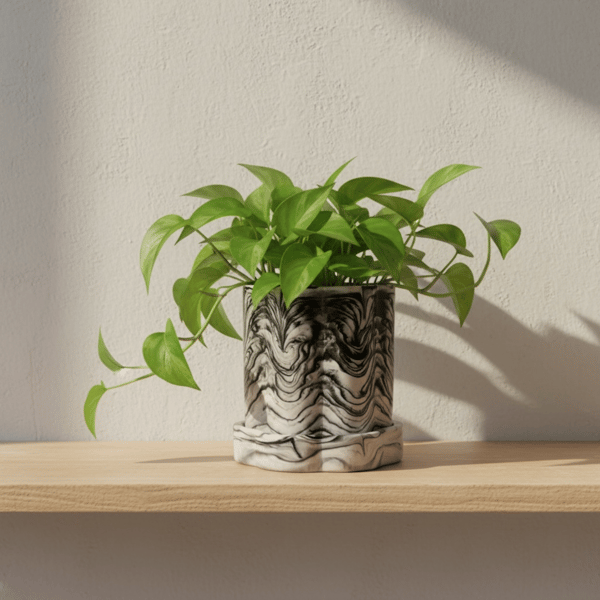 White Marbled Tall Plant Pot or Storage Pot With a Lid or Tray