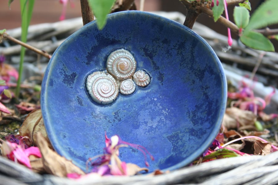 Handmade small ceramic ammonite dish