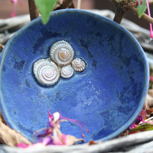 Handmade small ceramic ammonite dish