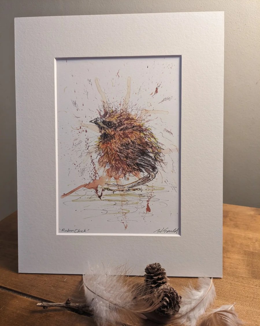 Robin chick, a signed print of an original painting
