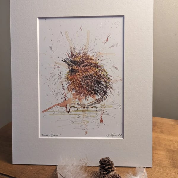 Robin chick, a signed print of an original painting