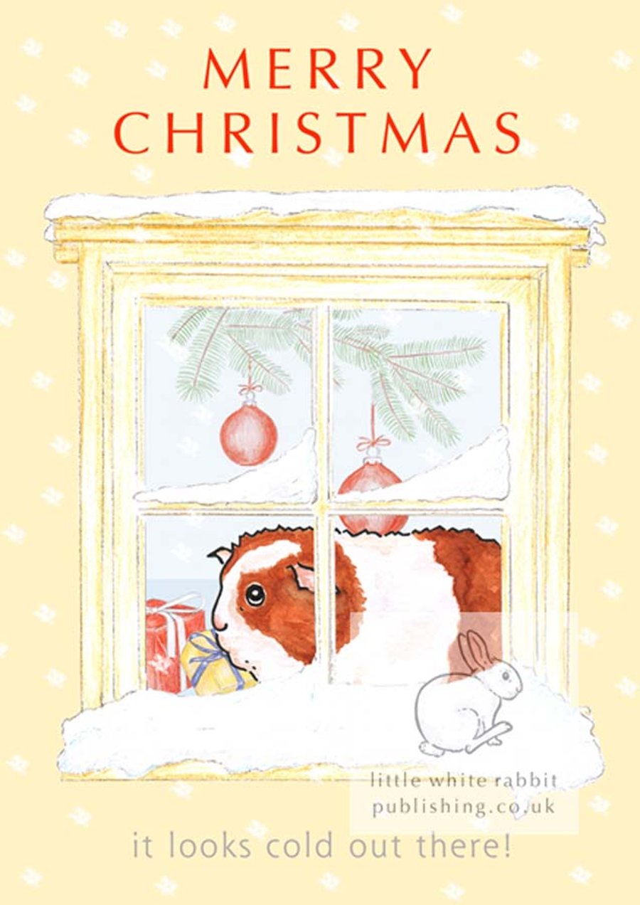 It looks cold out there! - Guinea Pig Christmas Card