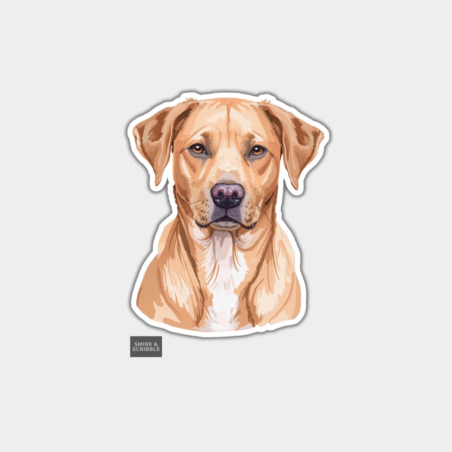 Funny Vinyl Sticker For Adults - Unimpressed Dog