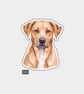 Funny Vinyl Sticker For Adults - Unimpressed Dog