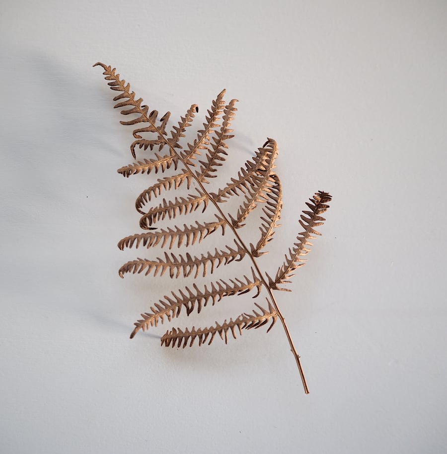 The Fern Press