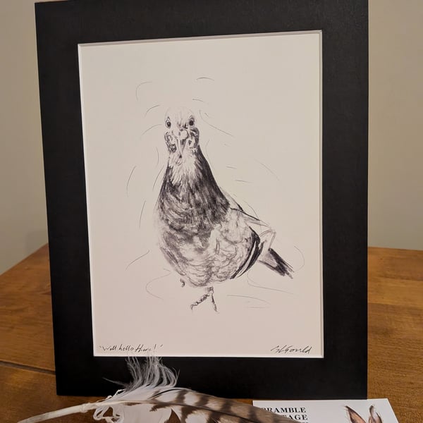 Pigeon, a signed print of an original charcoal drawing