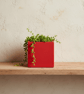 Red 10 cm Square Plant Pot Handmade Indoor Planter for Small Houseplants