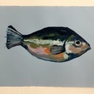 FISH painting in gouache, A5 