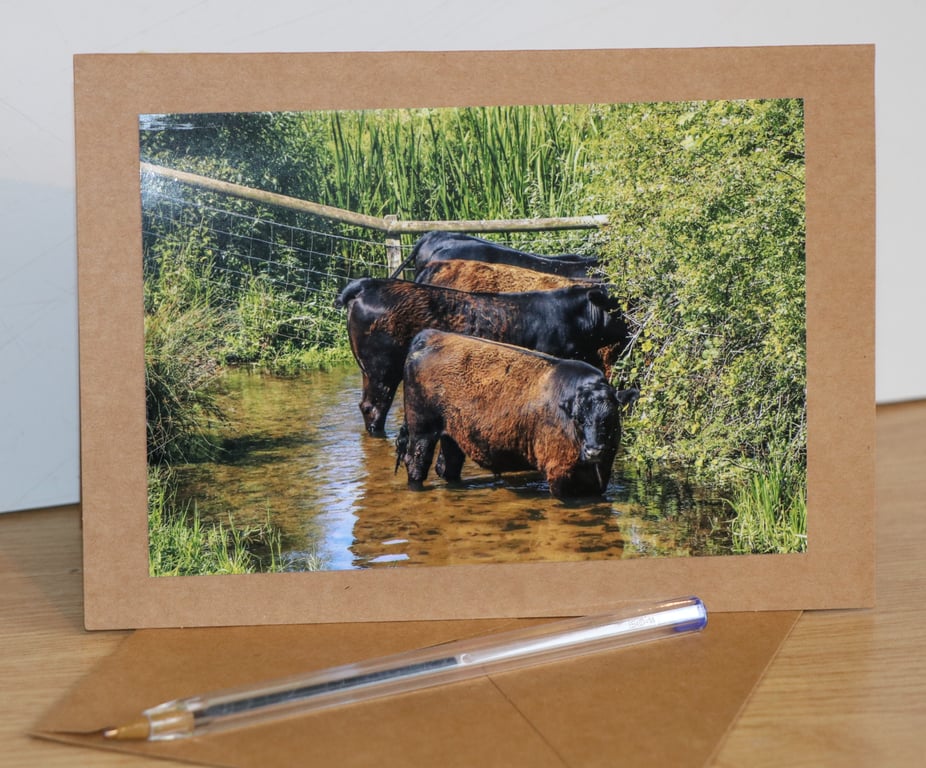 Norfolk Countryside Greetings Card –Photographic Rural Cards & Prints