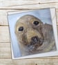 Cornish Grey Seal Fine Art Native Marine Wildlife Greeting Card