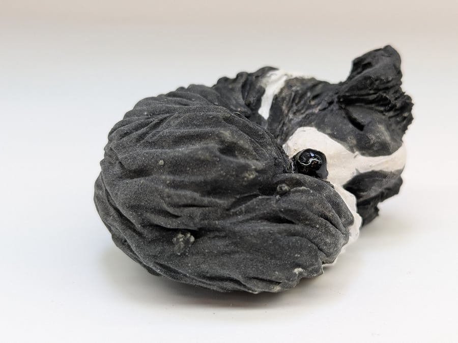 Sleepy Border Collie Sculpture 