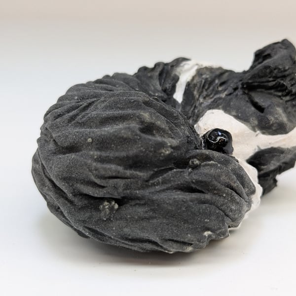 Sleepy Border Collie Sculpture 