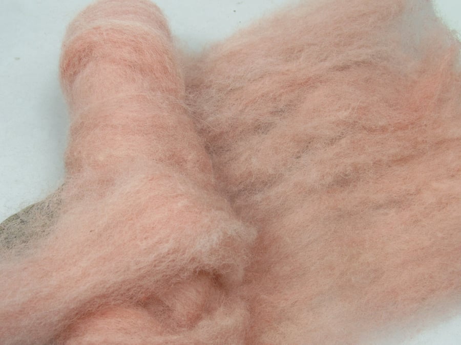 10g Naturally Dyed Shell Pink Peach Llanwenog Felting Wool