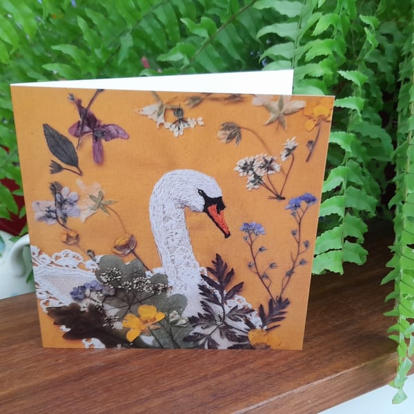 Swan Greetings Card