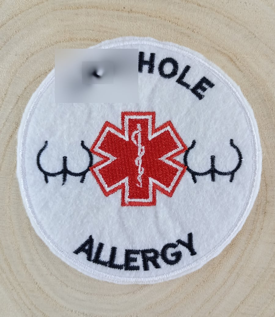 Rude patch - Embroidered patch with the words A (censored) Hole Allergy