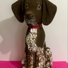 German Shorthaired Pointer