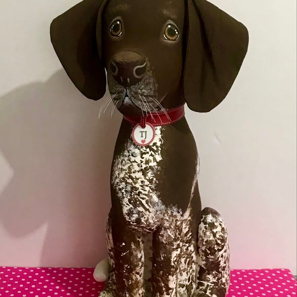 German Shorthaired Pointer
