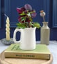 Wren and Snowdrops Fine Bone China Mini Jug - Image 7