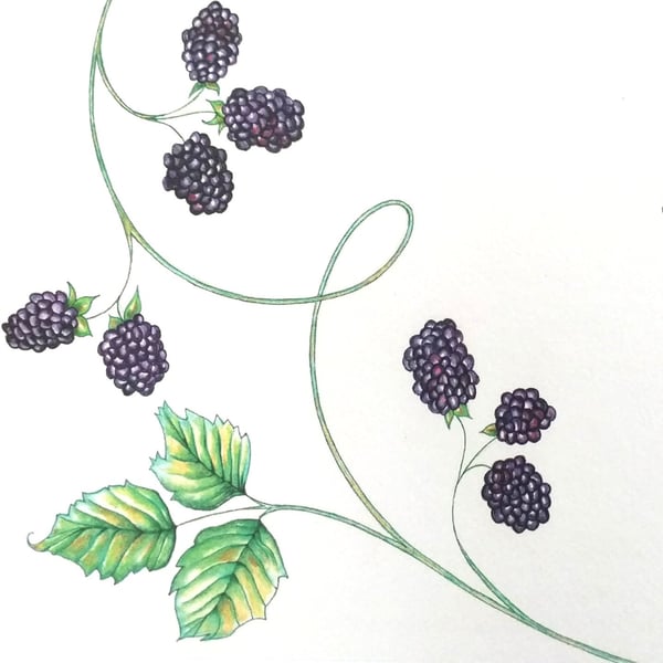 "Autumn Blackberries" A5 Art Print