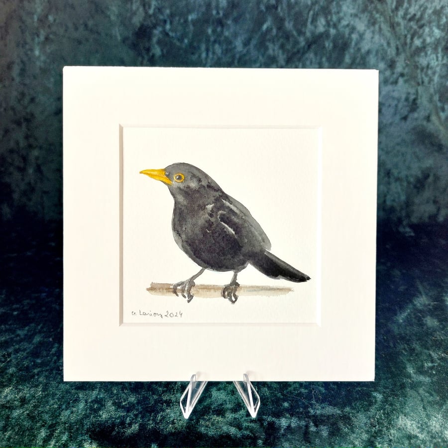 Blackbird - Original Watercolour Painting